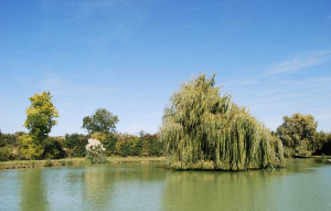 Combray Lake
